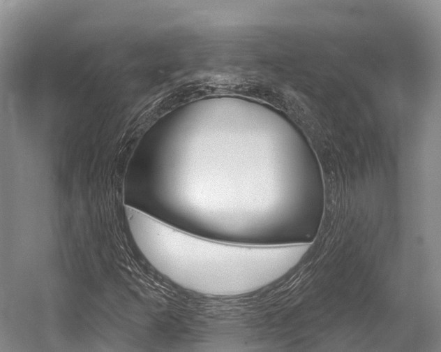 X0000058771253200509300831
