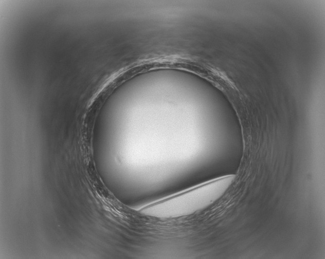 X0000058771256200509300830
