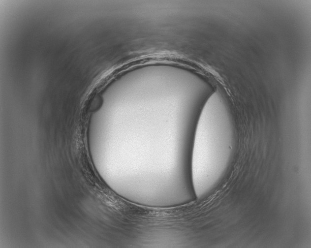 X0000058771263200509300830