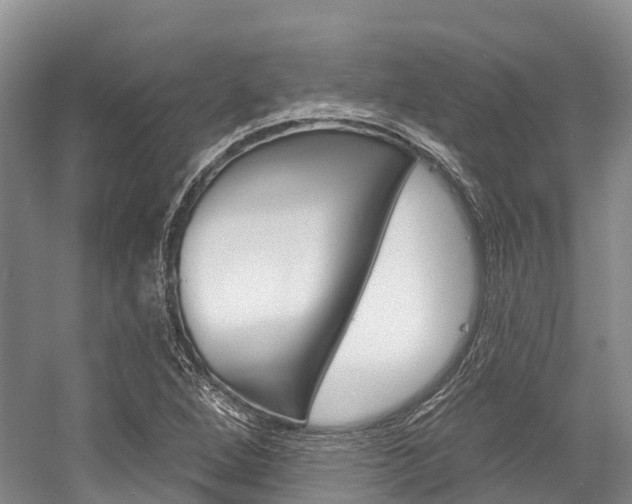 X0000058771264200509300830