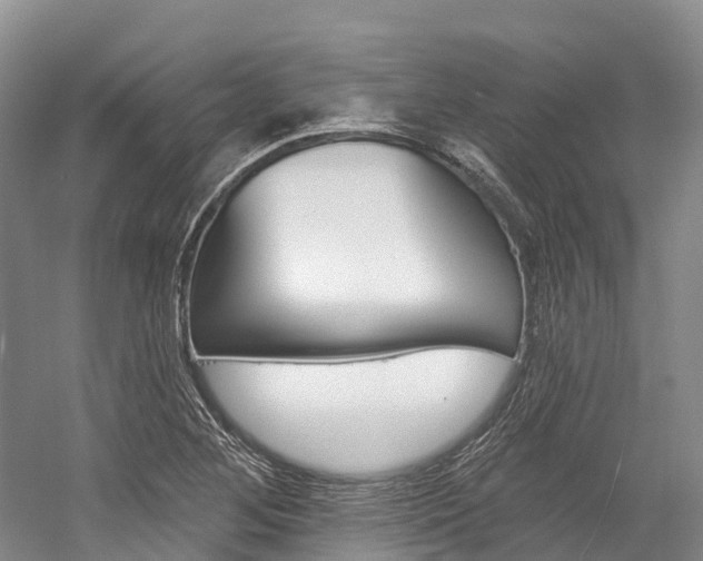 X0000058771268200509300830