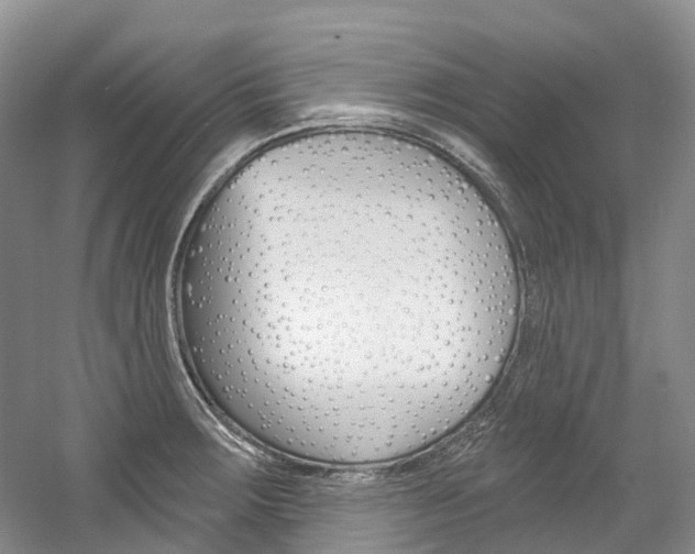 X0000058771283200509300830