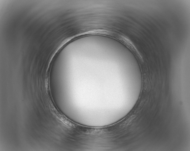 X0000058771284200509300830