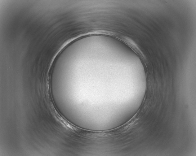 X0000058771292200509300830