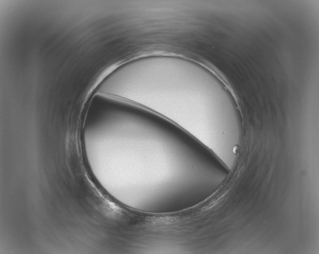 X0000058771293200509300830