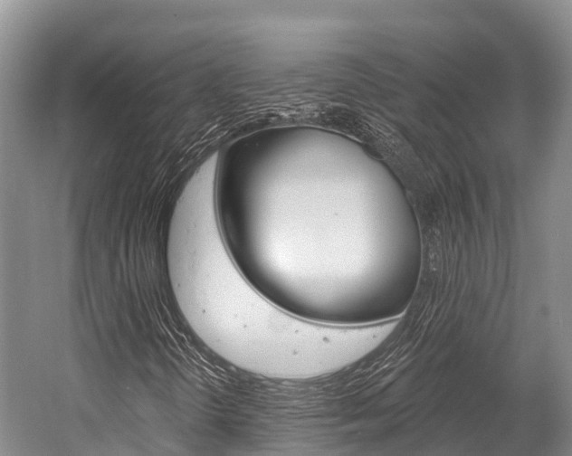 X0000058771298200509300829