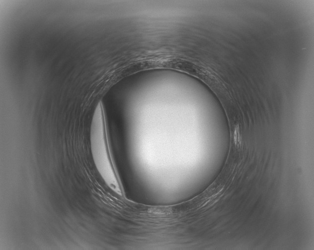 X0000058771299200509300829