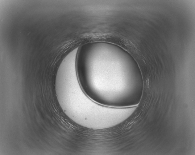 X0000058771300200509300829