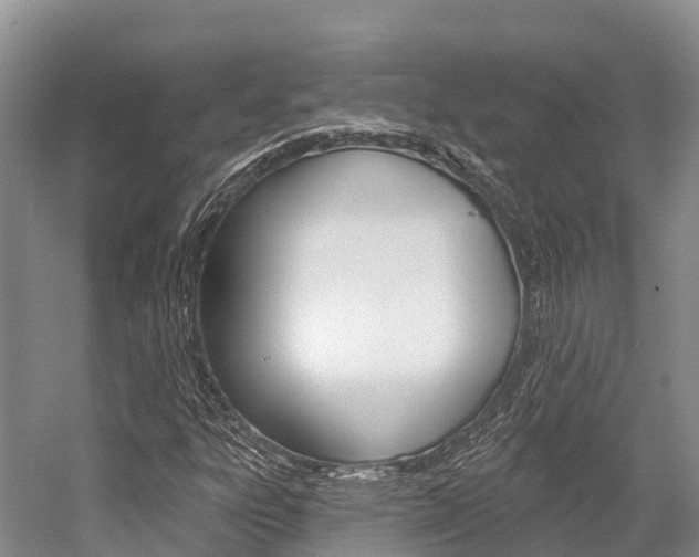 X0000058771303200509300829