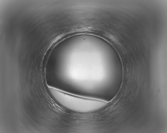 X0000058771308200509300829