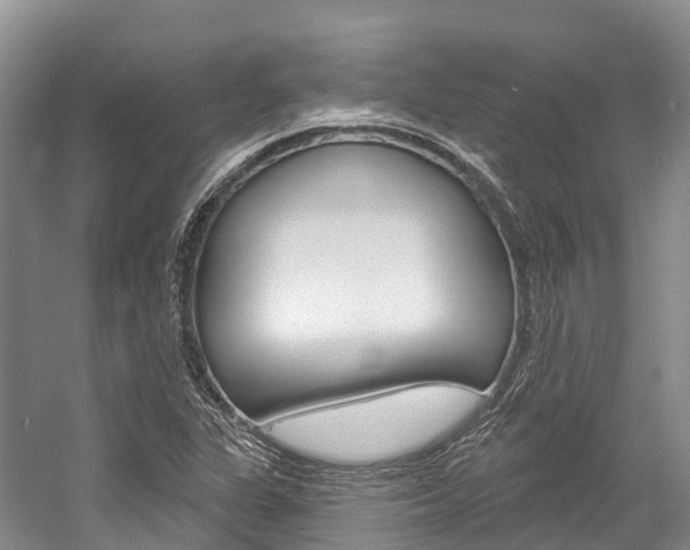 X0000058771311200509300829