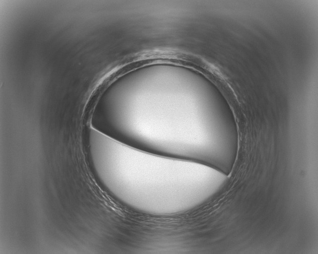 X0000058771312200509300829