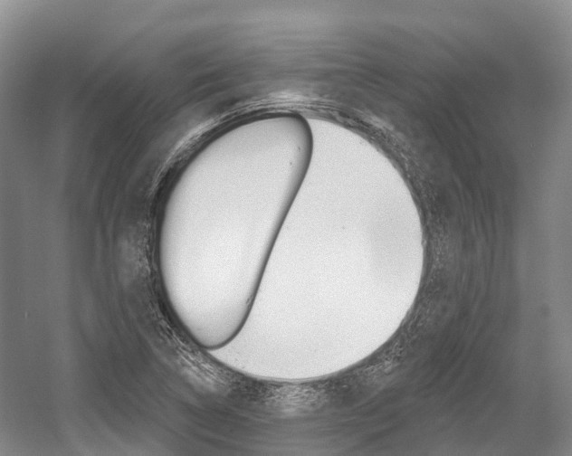 X0000058771314200509300829