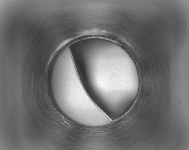 X0000058771315200509300829