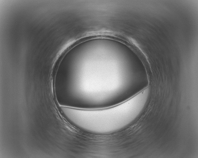 X0000058771320200509300829