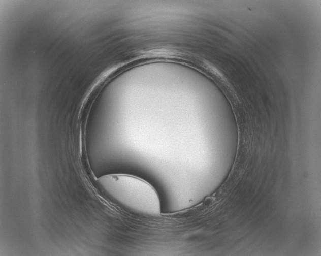 X0000058771323200509300829