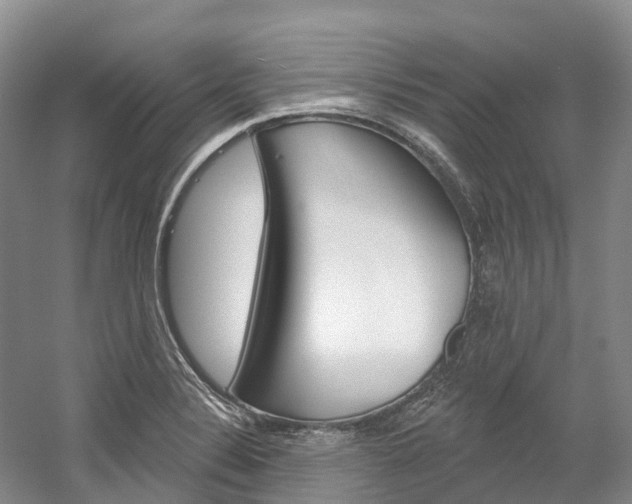 X0000058771324200509300829