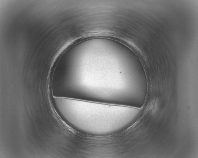 X0000058771325200509300829