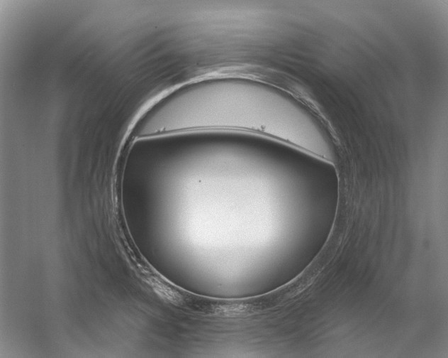 X0000058771328200509300829