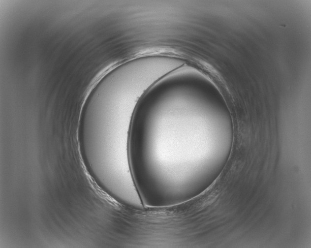 X0000058771330200509300830