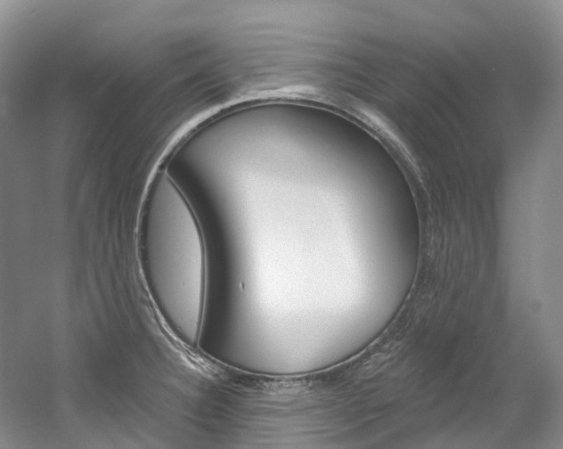 X0000058771332200509300830