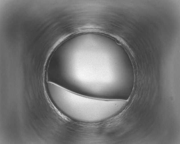X0000058771333200509300830