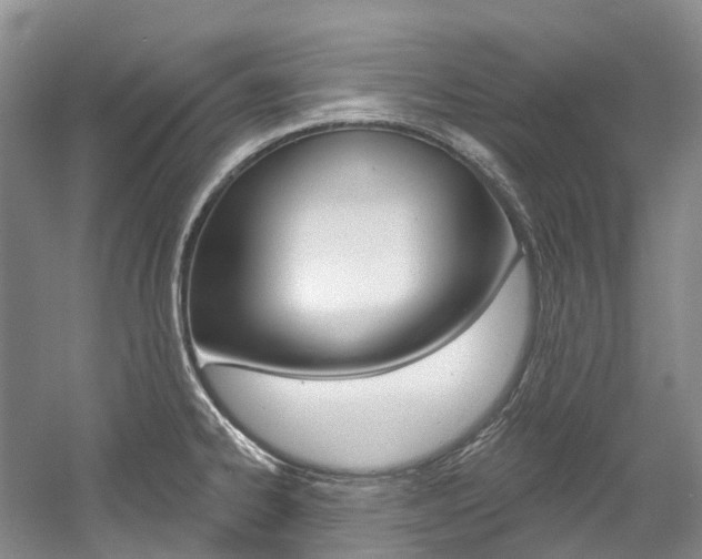 X0000058771334200509300830