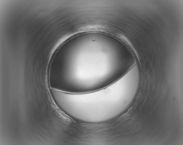 X0000058771336200509300830