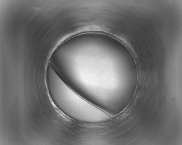 X0000058771342200509300830