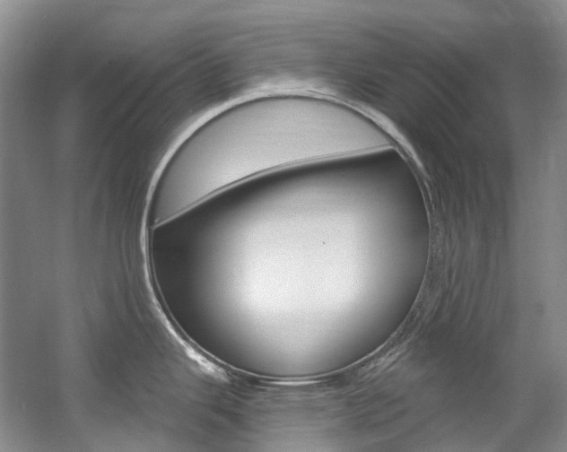 X0000058771343200509300830