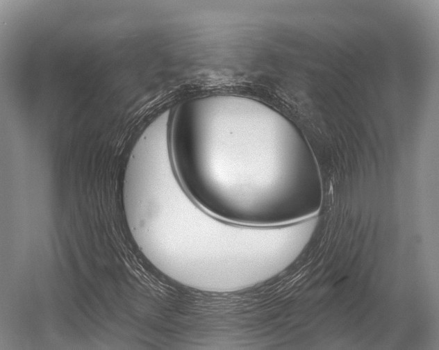 X0000058771348200509300829