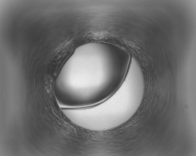 X0000058771349200509300829