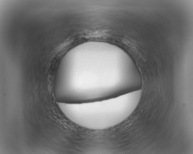 X0000058771350200509300829