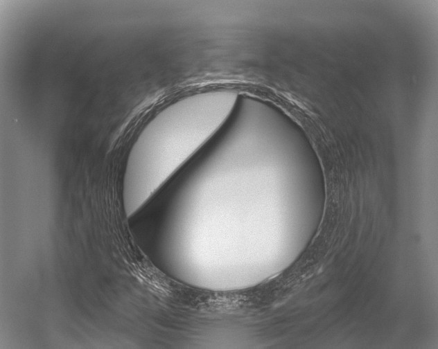 X0000058771351200509300829