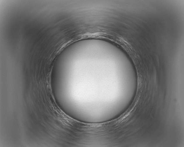 X0000058771353200509300829