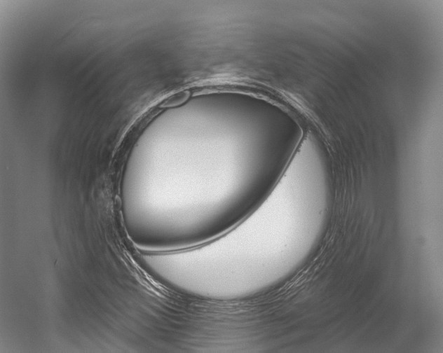 X0000058771356200509300829