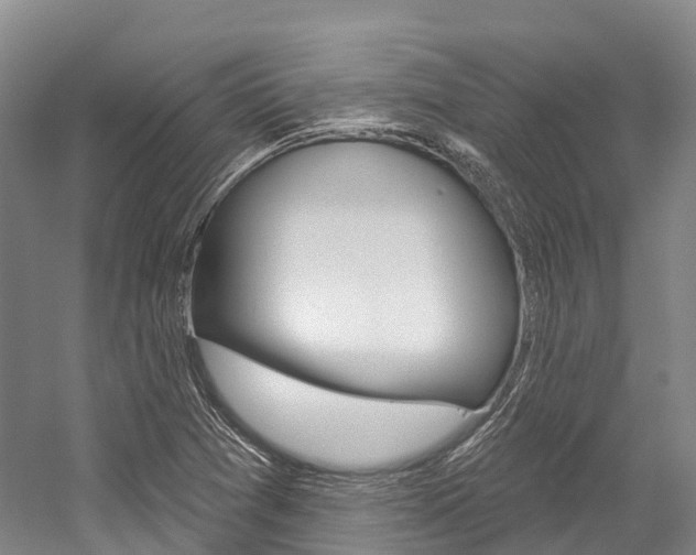 X0000058771361200509300829