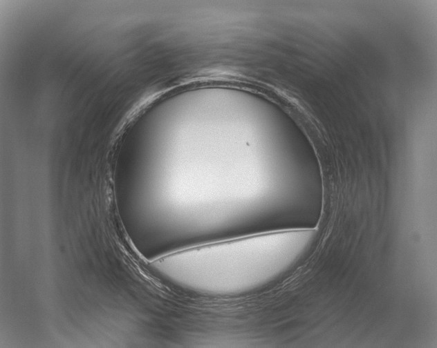 X0000058771363200509300829