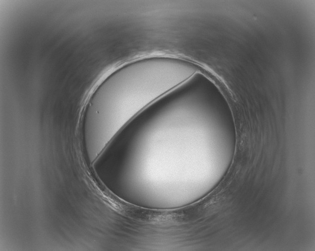 X0000058771367200509300829