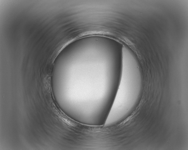 X0000058771369200509300829