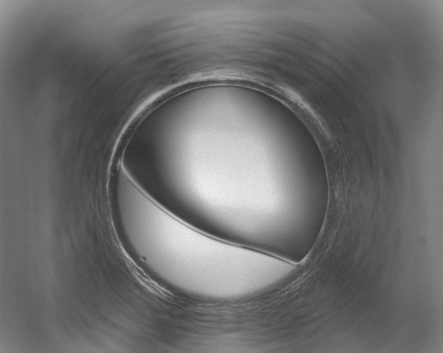 X0000058771372200509300828