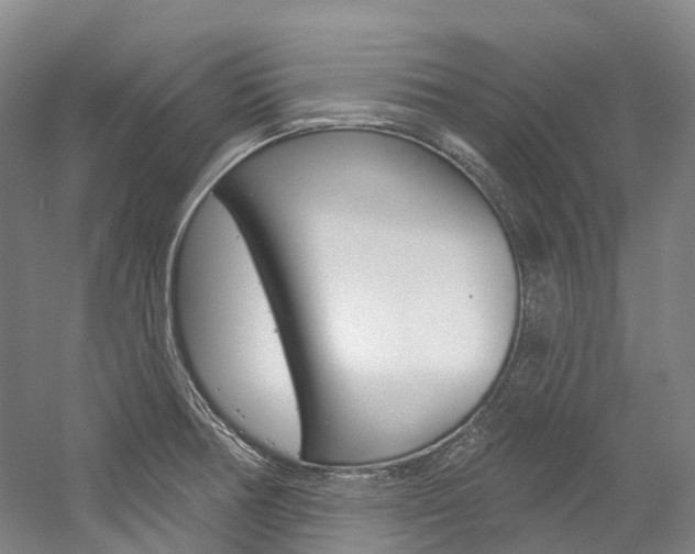 X0000058771378200509300828