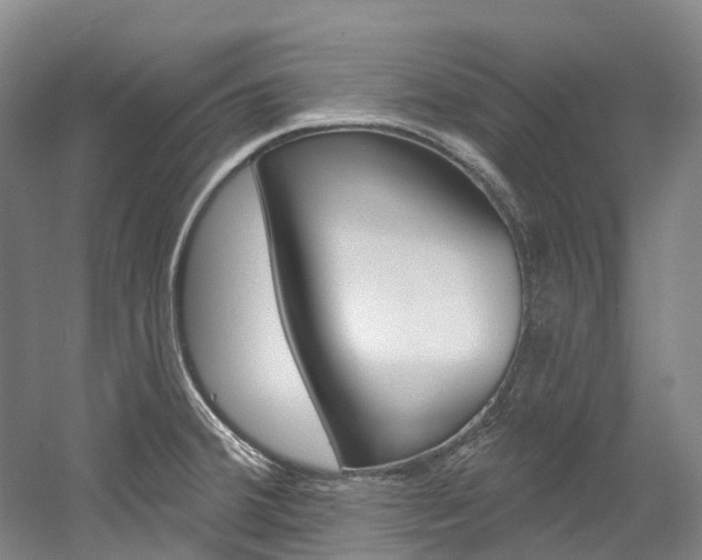 X0000058771380200509300828