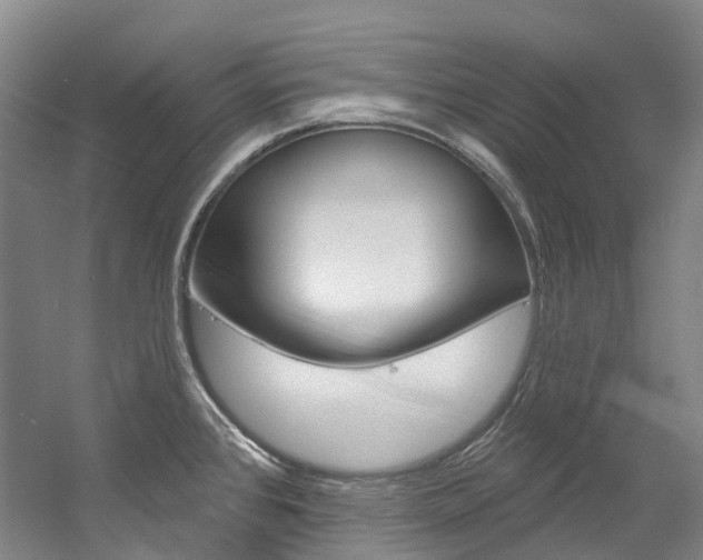 X0000058771384200509300828