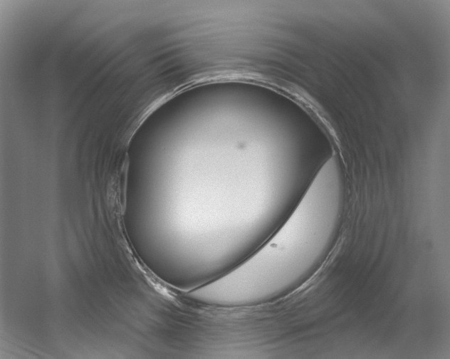 X0000058771385200509300828
