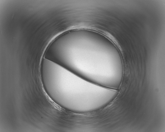 X0000058771388200509300828