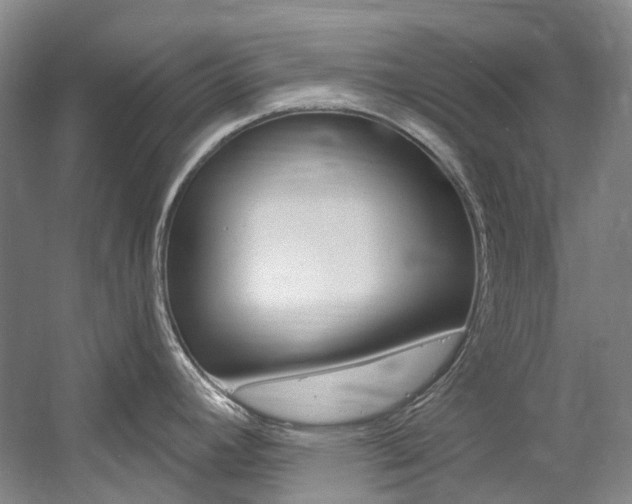 X0000058771392200509300828