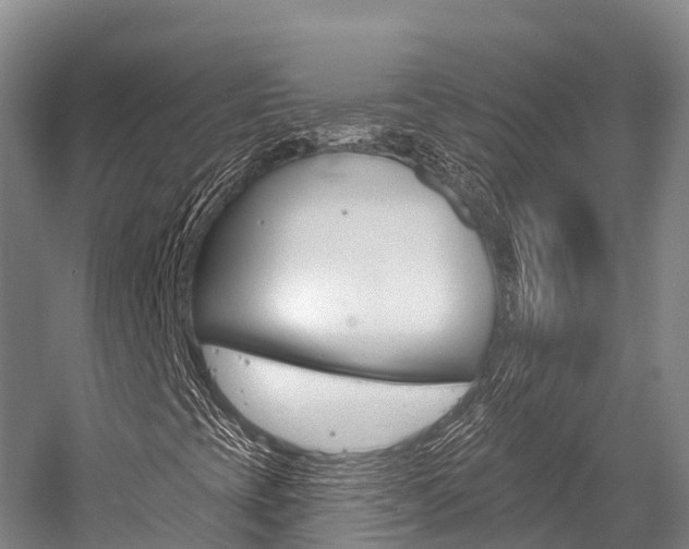 X0000058771393200509300827