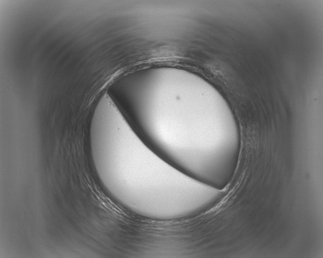 X0000058771401200509300827