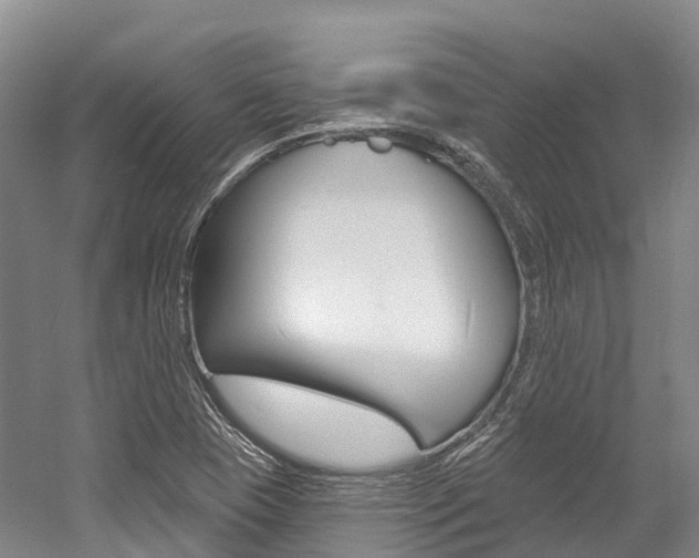 X0000058771409200509300828